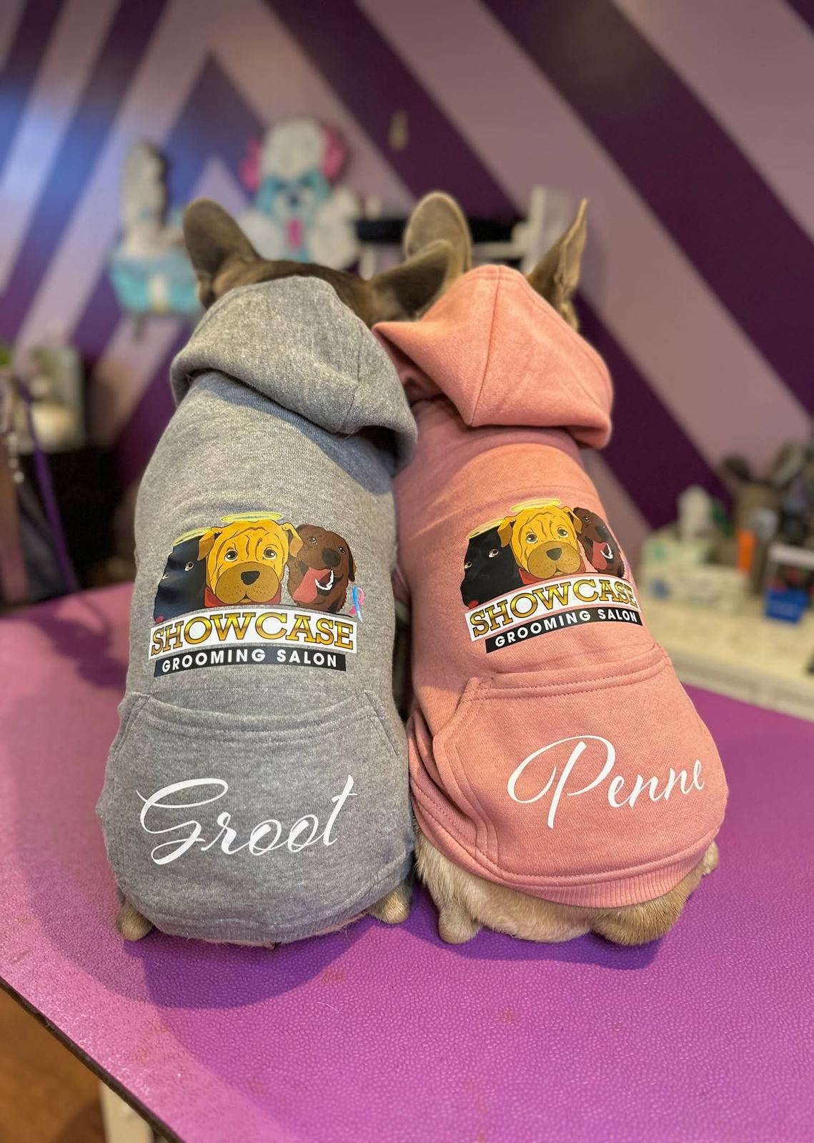 Two dogs, Groot and Penni, on the purple grooming table wearing Showcase Grooming Salon hoodies